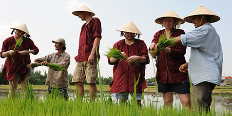 Participation aux activités agricoles et artisanales